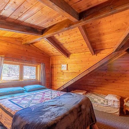 פייסון Forest Cabin 2 Birds Nest מראה חיצוני תמונה