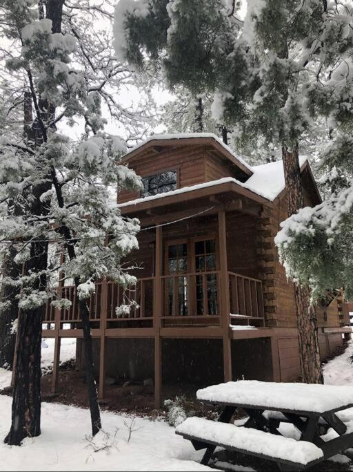 פייסון Forest Cabin 2 Birds Nest מראה חיצוני תמונה